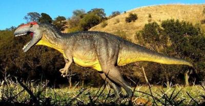 Carcharodontosaurus 1/20 Scale