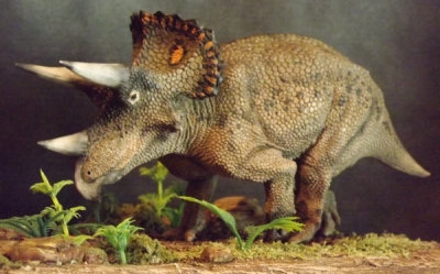 Kinto Triceratops